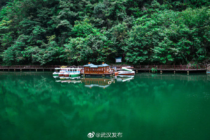 走進襄陽堯治河感受山林間的碧水藍天