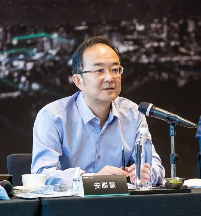 吉利控股集团总裁,吉利汽车集团ceo,总裁安聪慧