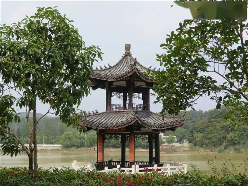 《八月桂花遍地开》诞生地