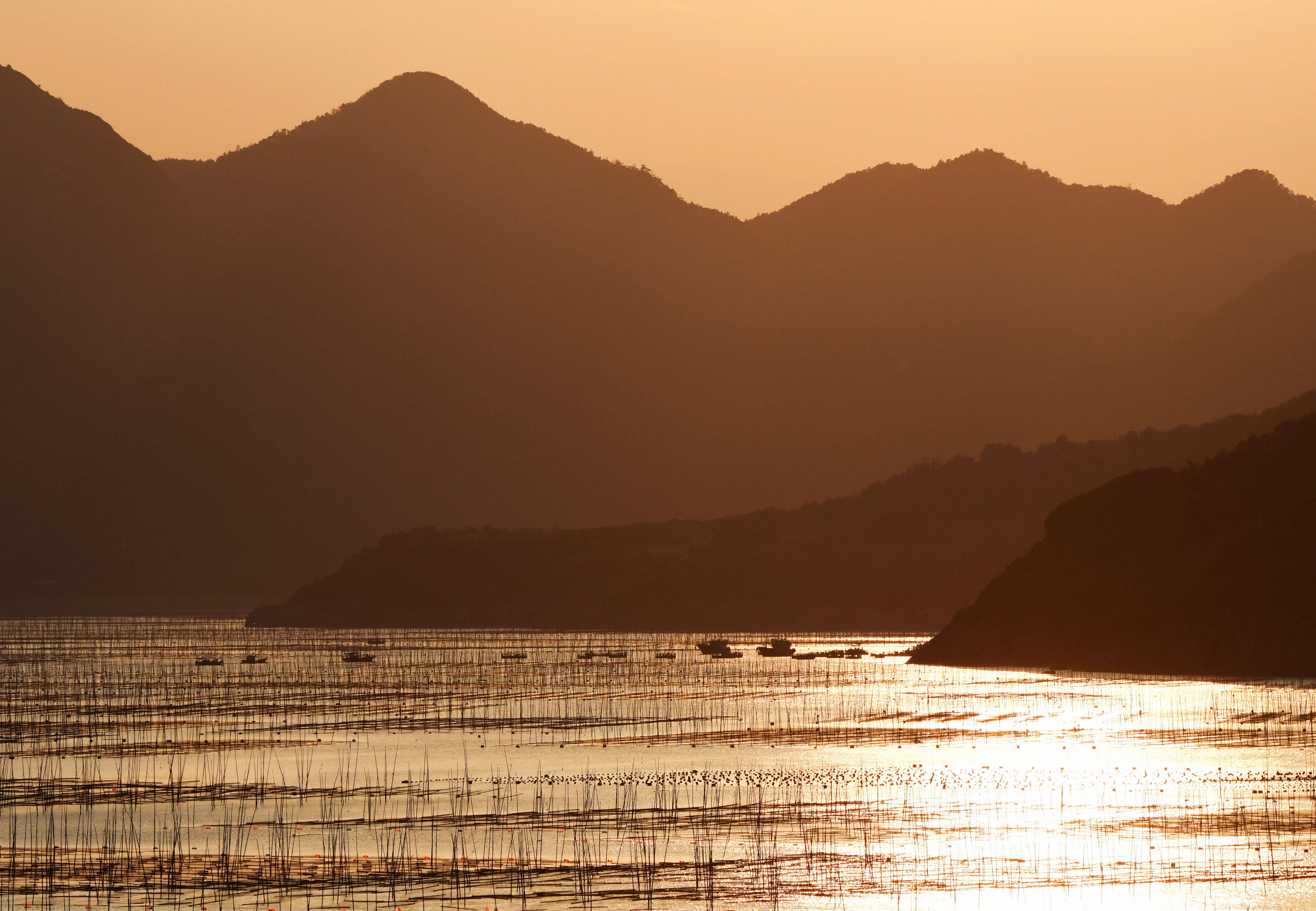 福建霞浦光影三沙醉美灘塗