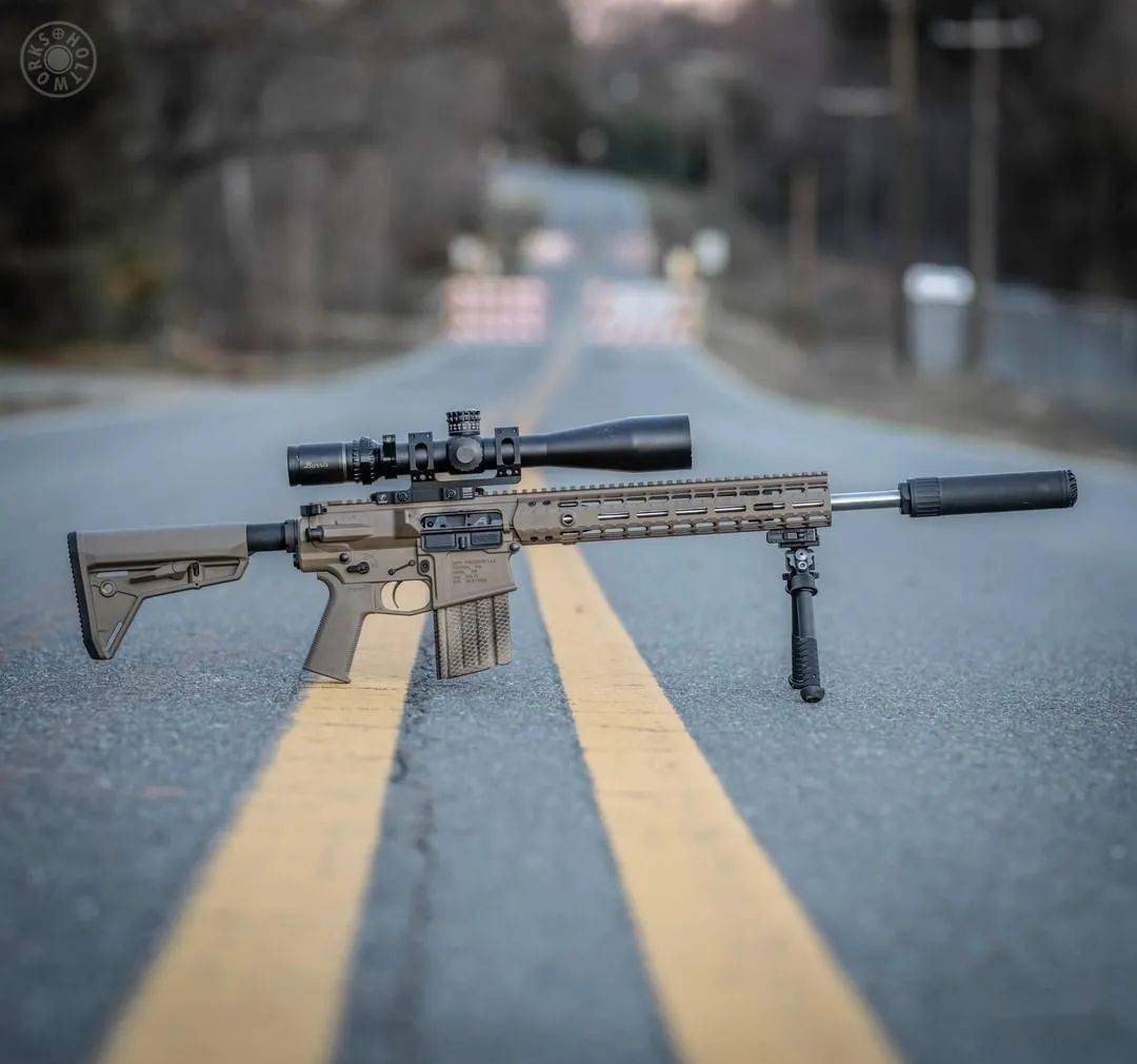 琴瑟和鸣oss消音器美图欣赏