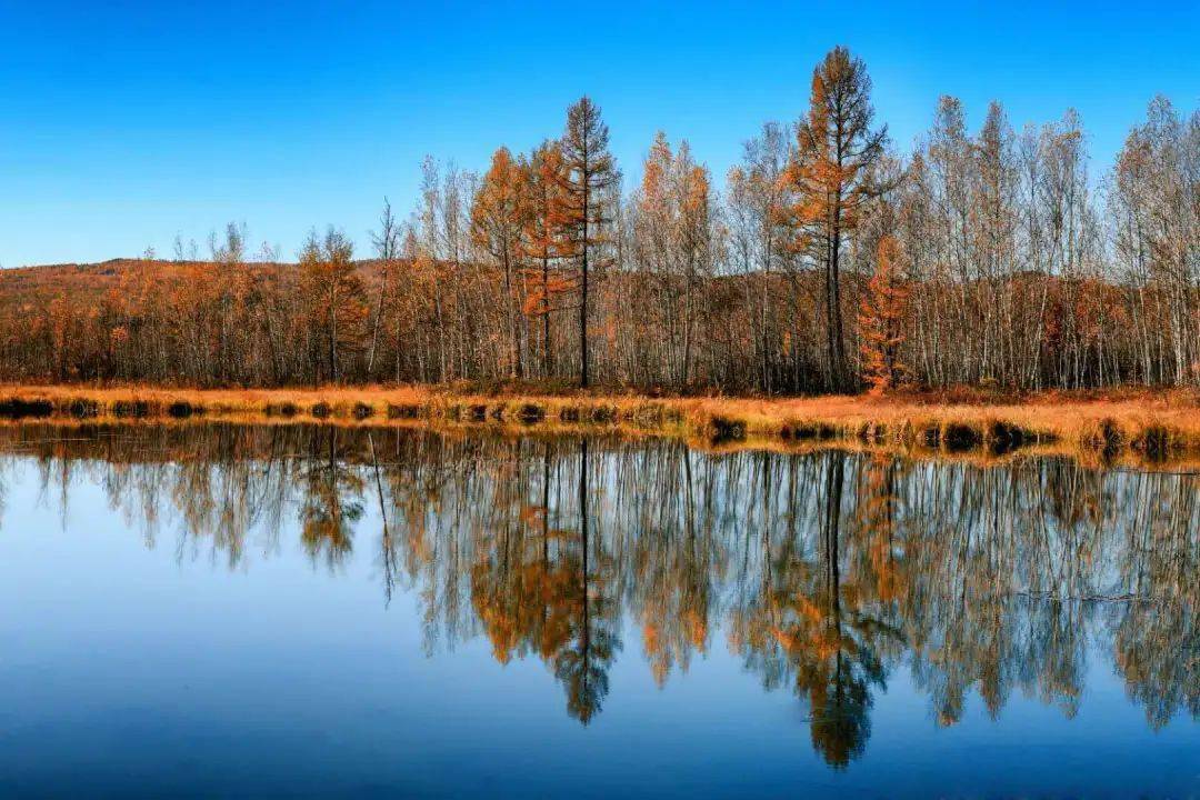 十月邂逅阿木尔猎奇之路上的秋景