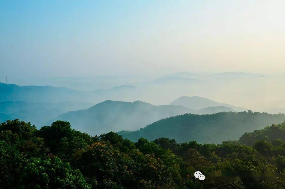 东莞市大岭山森林公园2020年国庆游园指引_景区