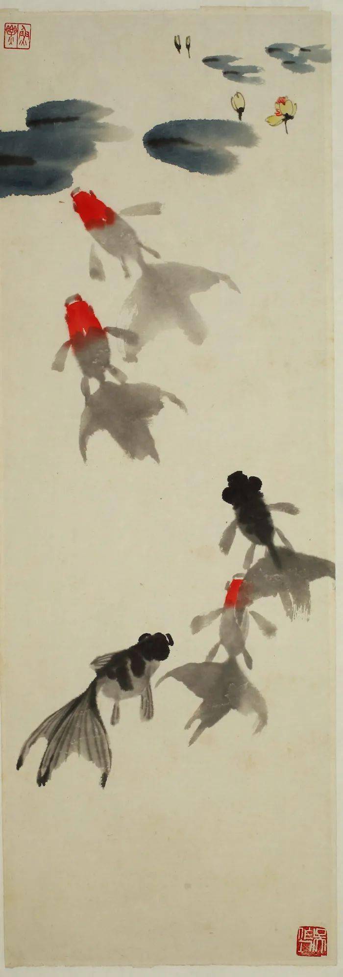 从金鱼看吴作人的中国画探索,苏州展其金鱼作品研究展
