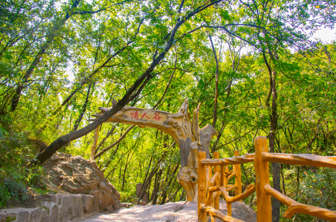 终于等到你大熊山仙人谷第三届山地菊花展盛大启幕超强游玩攻略来袭