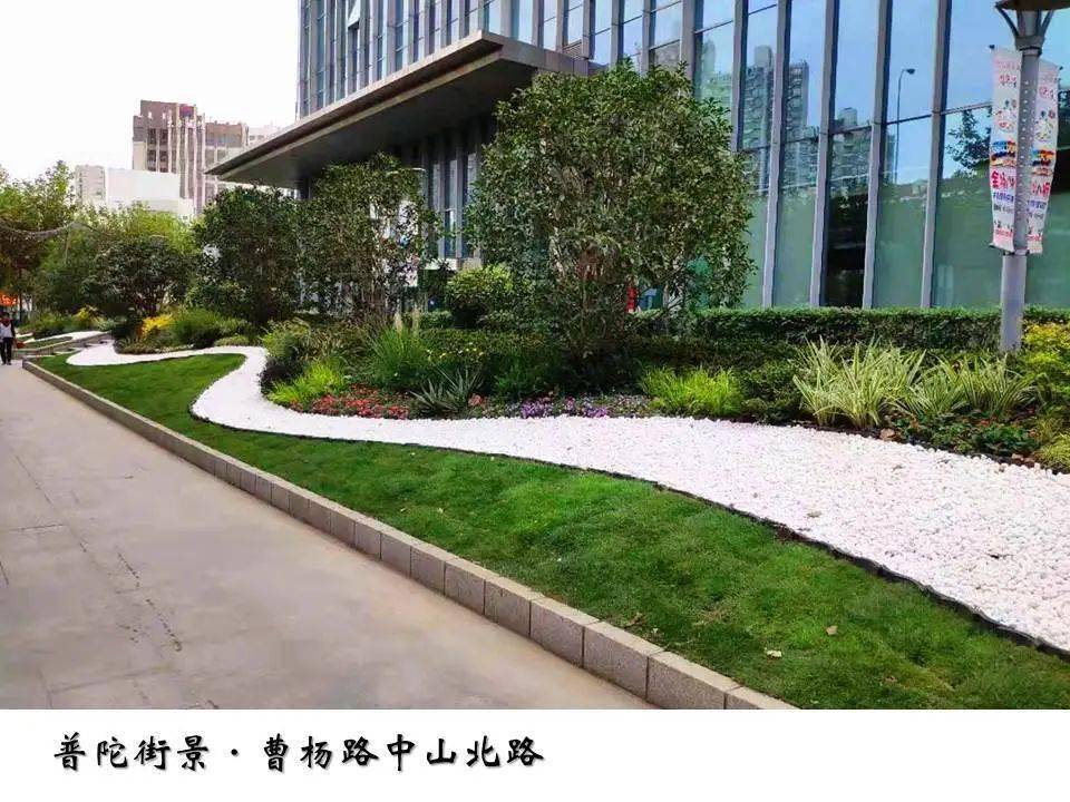 双节同庆转角绿地①移步易景四季有花普陀的转角不仅仅是绿化更是彩化