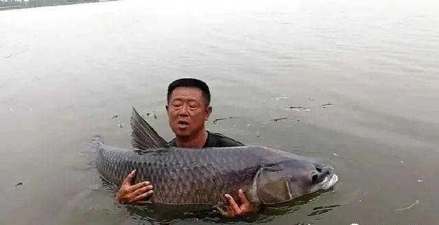 想成为国家承认的钓鱼大师普通钓鱼人要付出什么能获得什么