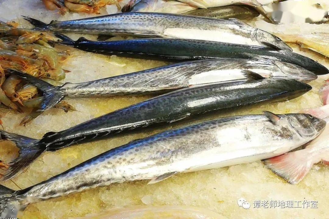 【地理视野】通过我国四大海域的地理知识,你应该知道的中国海鲜地理!_渤海
