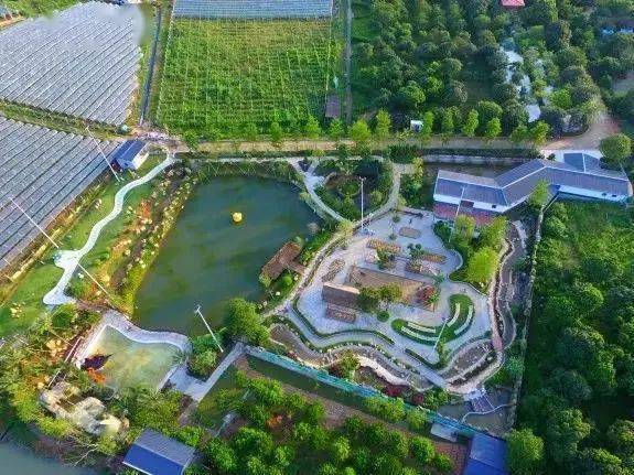 惠州第二批乡村旅游精品线路已就位!绿色骑行,网红民宿,田园采摘.
