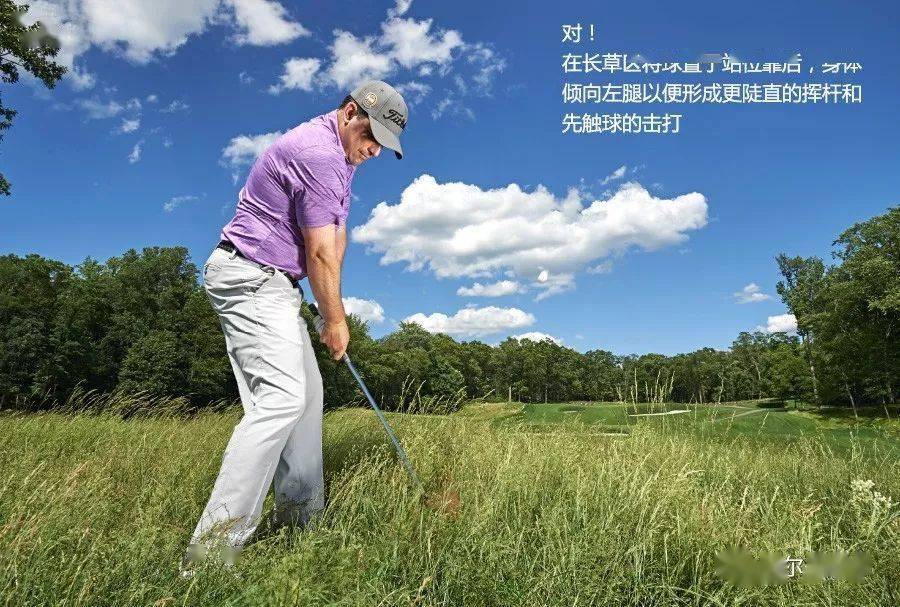 想从长草区安全救球总共分几步