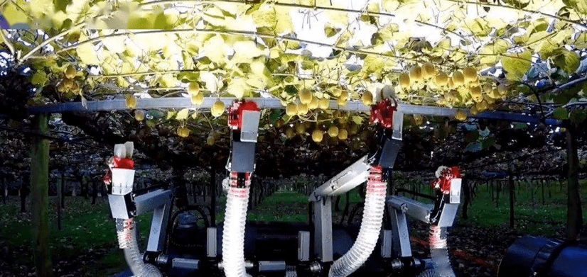 希望能让机器人进入水果种植等行业工作