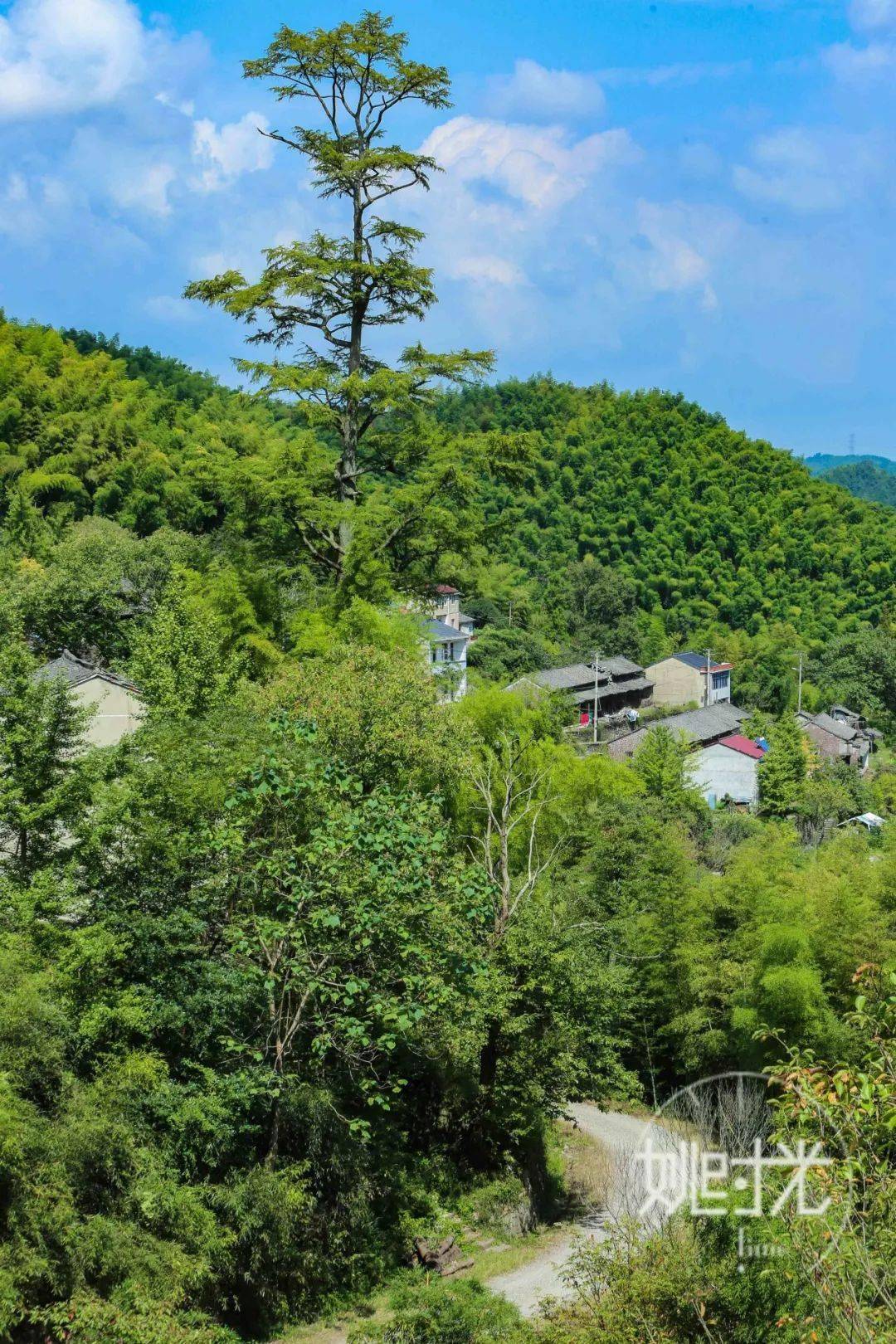 古道悬崖小溪竹林鹿亭这个山清水秀的村庄太适合国庆出游了