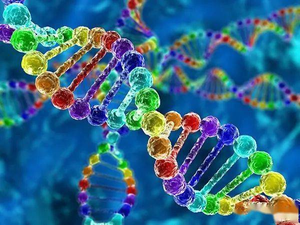 《自然》杂志:新冠病毒基因突变与尼安德特人有关