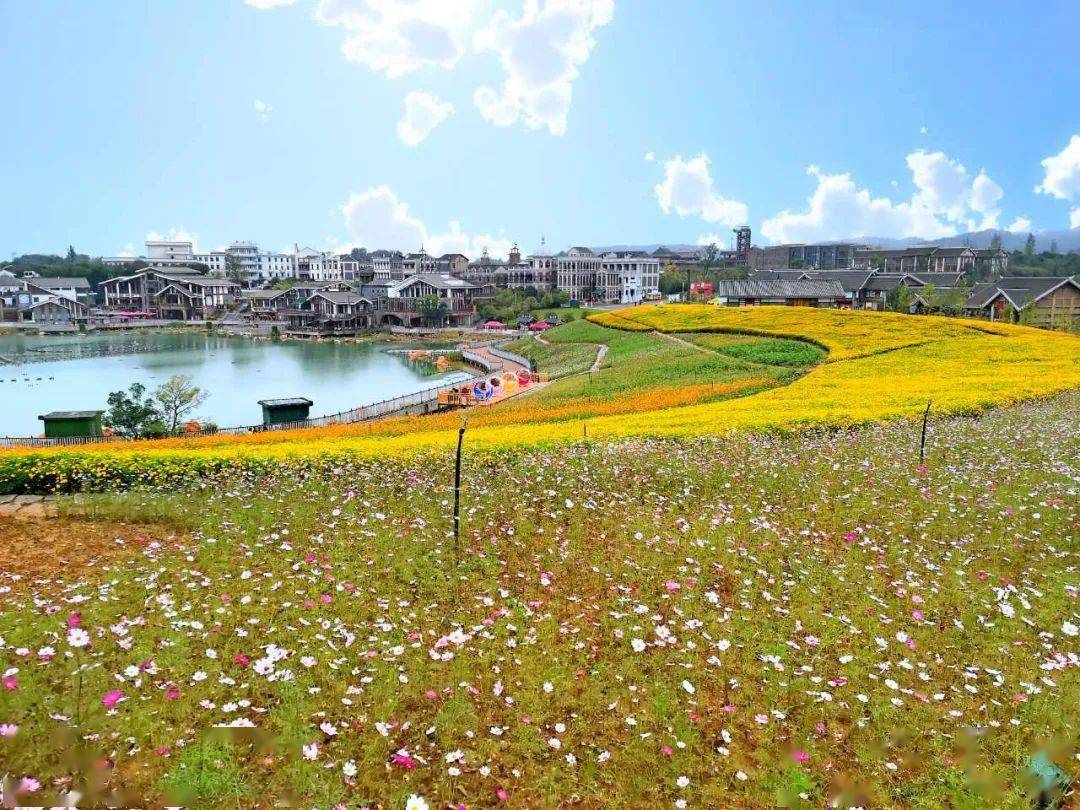 贵阳天河潭旅游度假景区4天来,厅主要领导和带班领导坚持坐阵厅机关