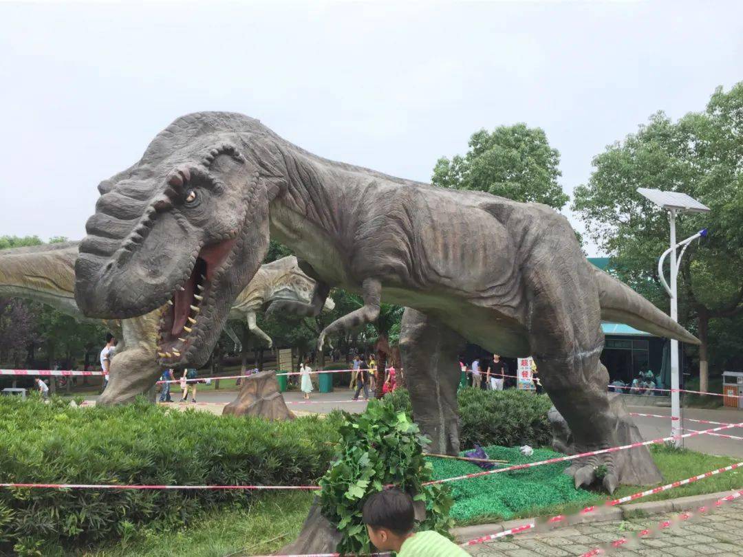 世界动物日盘点南京市最值得去的动物园