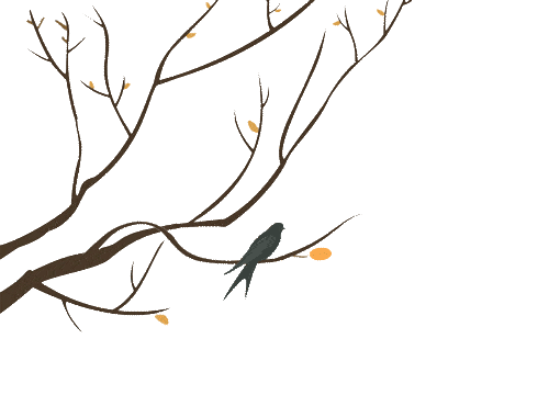 500_360gif 动态图 动图