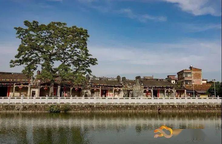 走,去钟落潭!云溪湾里摘水果,看古祠,赏绝美河滨风光.