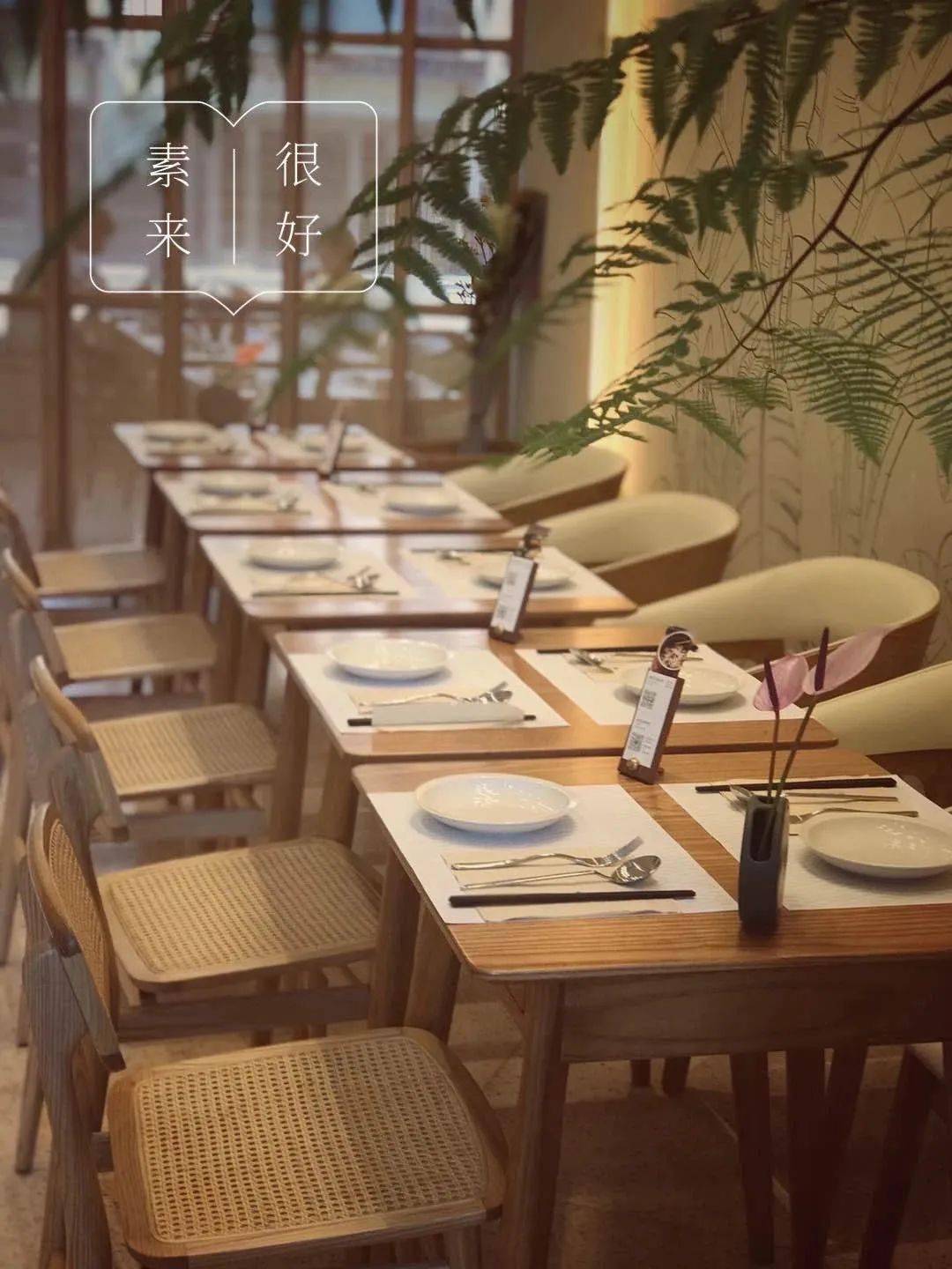 上海素食之行vlog纯净素餐厅