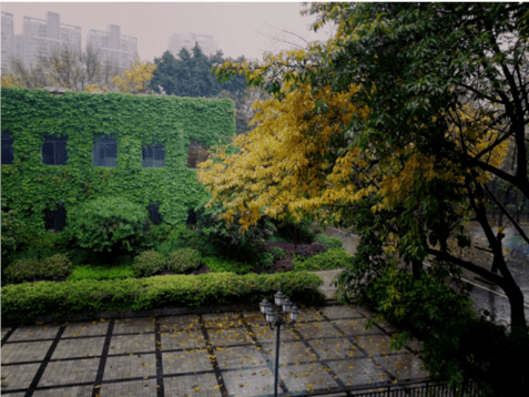 日新书院新生吴桐过去从未过去未来已经开始