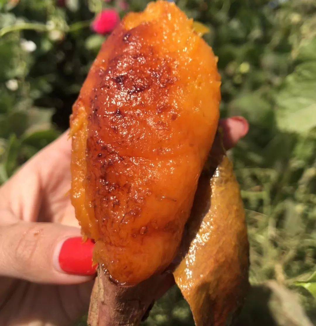 特价丨吃了会上瘾的蜜薯25号上市啦甜粉软糯爆浆流蜜入口即化