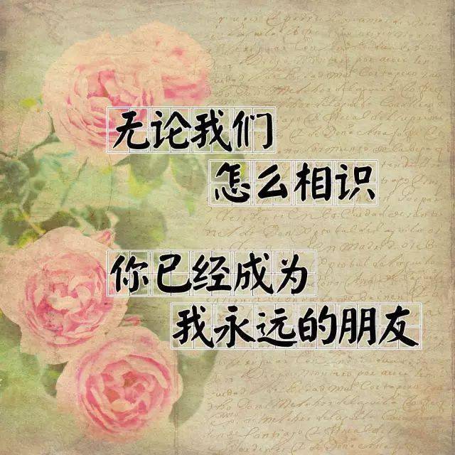 我的真心话都写在这里了