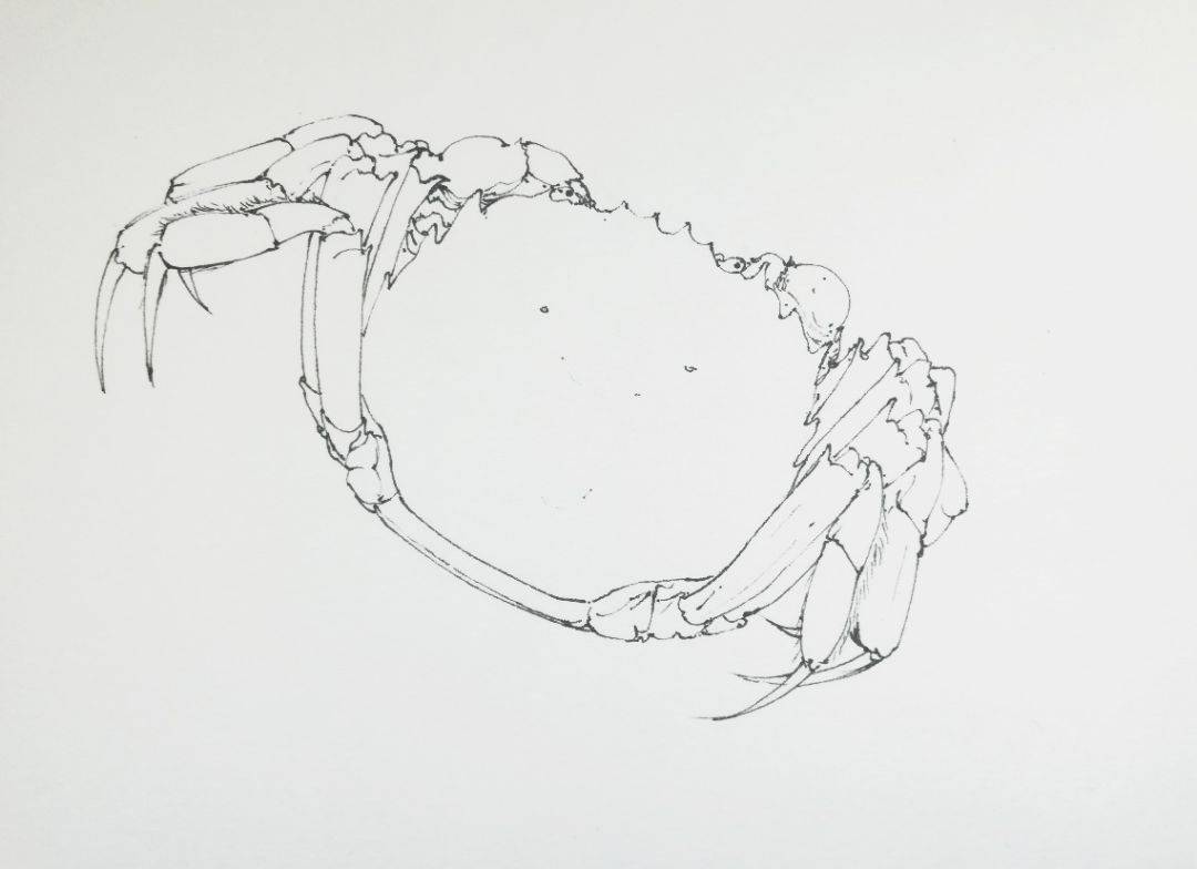 线稿:先用铅笔定好大体结构位置.