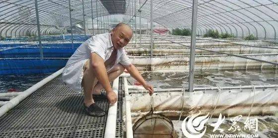 2017农村养什么致富快_致富经养虾_养牛羊致富故事