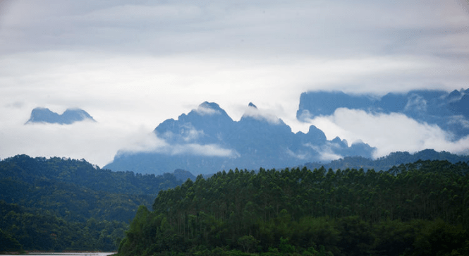 郁郁葱葱平南新八景之一的田湖映翠