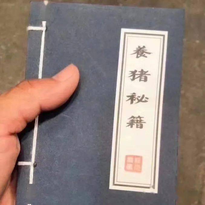 好多罗浮人今年养猪,这里有一本秘籍