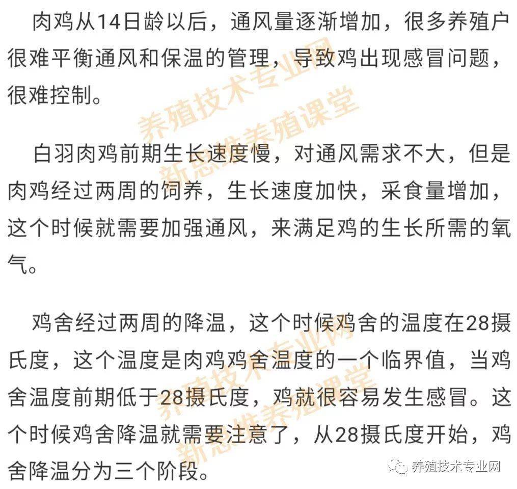 第三階段:32日齡以後肉雞通風管理:第三階段,雞群的特點1,32日齡以後