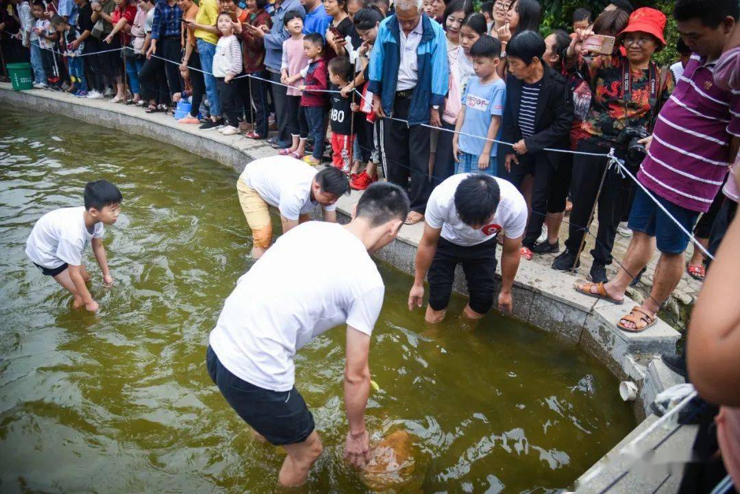 男女老少齐上阵徒手抓鱼大赛嗨翻永春镜头直击人鱼大作战火爆现场