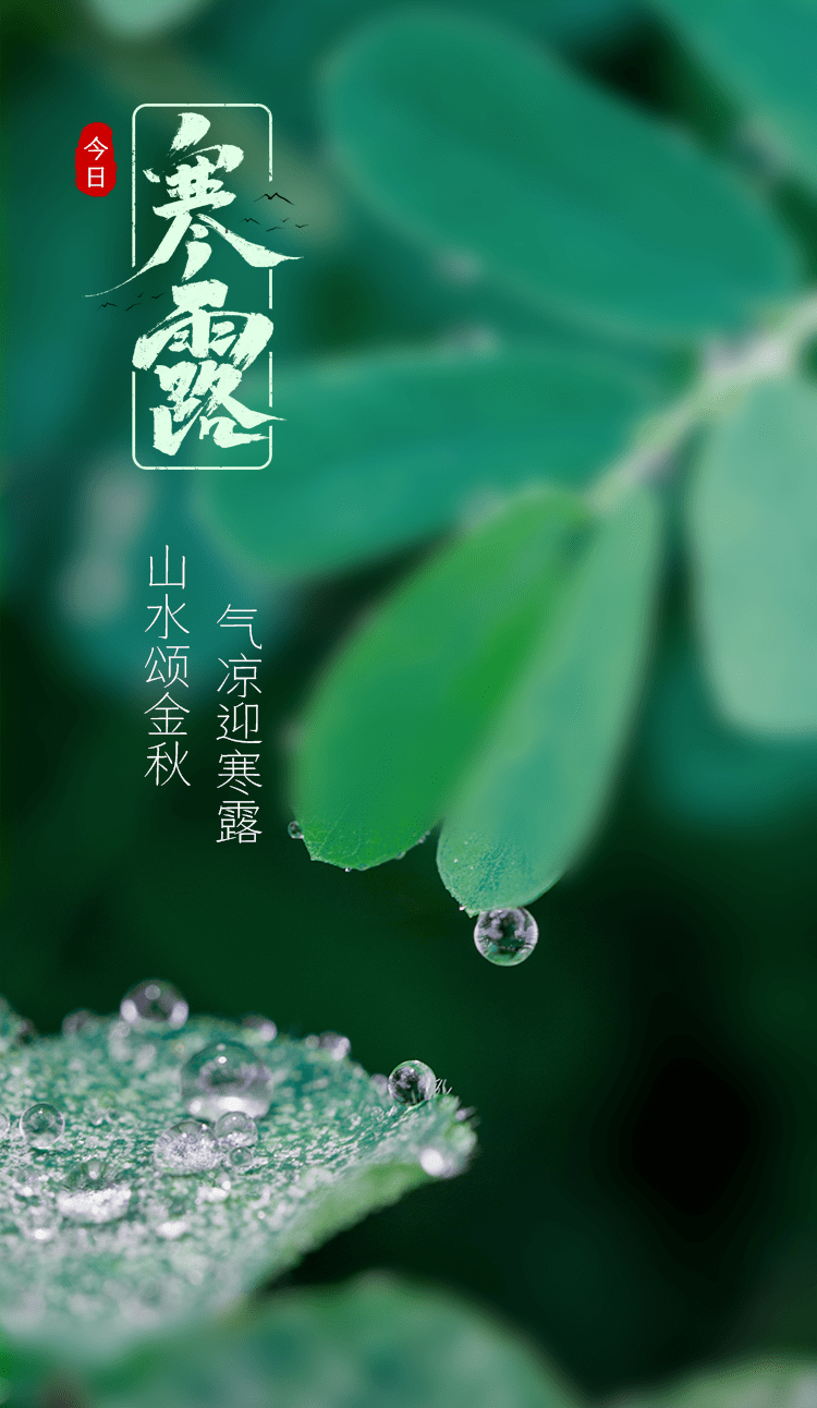 今日寒露,记得添衣!_气温