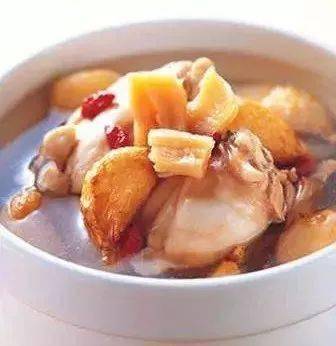 毛冬青杞子菟丝子煲瘦肉汤