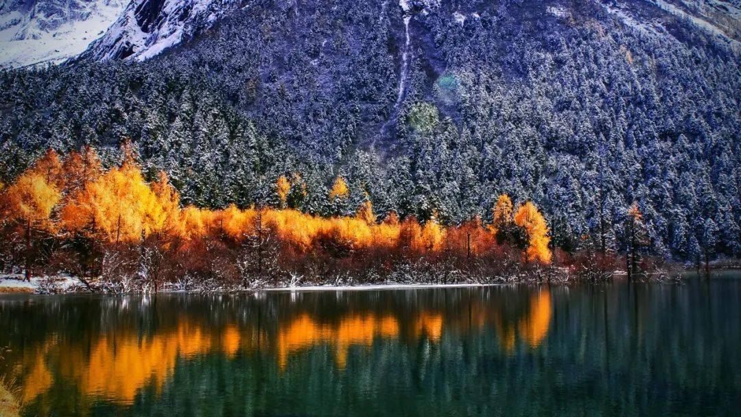 的节令寒露·气候伸手触摸叶尖的露一头扎进远方的寒"自古逢秋悲寂寥