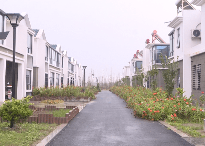 聚焦白驹镇打造本地特色美丽宜居乡村