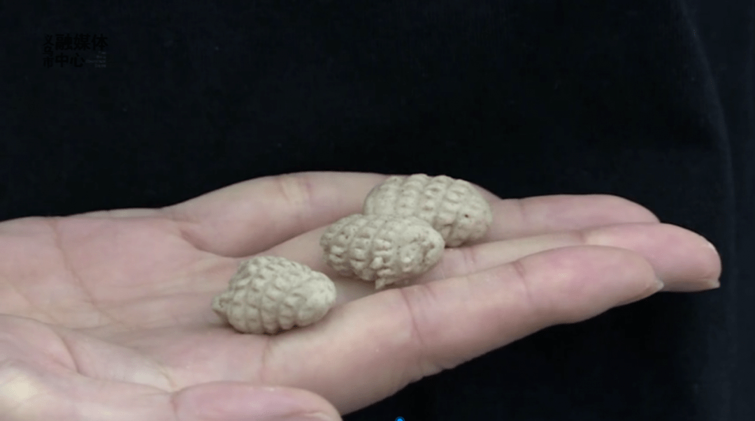 一分钟后,荞麦老鼠就煮熟了,出锅!吃惯了精