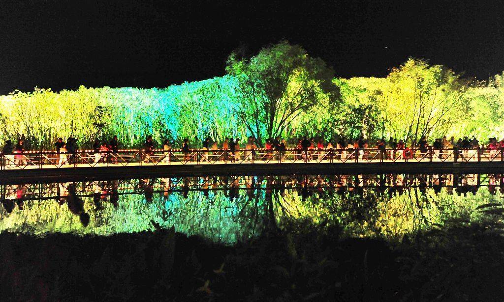 安阳洪河湿地公园灯展图片