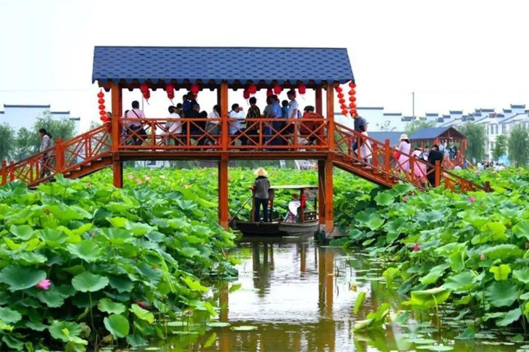 "刘炜建研究发现平园池有种植莲藕传统,"莲藕浑身是宝,何不围绕它做