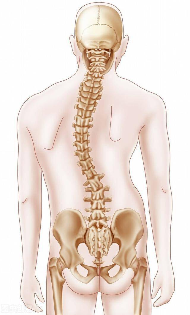 脊柱側彎是如何分型的?