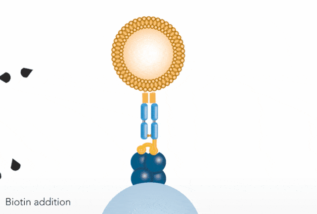 参与 fab-tacs 答题挑战,即可获得双螺旋戒指 骨头笔,还有机会获得