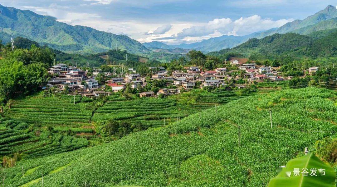 【视界】秋色村庄——威远镇芒冷芒乃