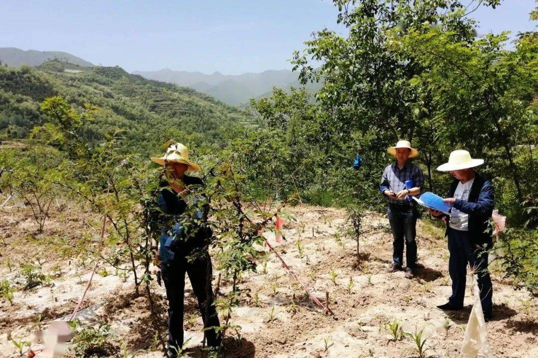 隴南禮縣發佈監製:孫海洴冉永傑審核:田 巍 編 輯:杜 文王壩鎮民事直