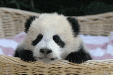 360_240gif 动态图 动图