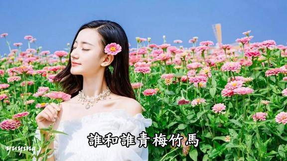 顶级音质天籁金曲龙梅子小花