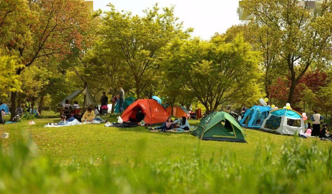 花海小镇美如画,国庆中秋假期朱泾乡村生态休闲游受青睐