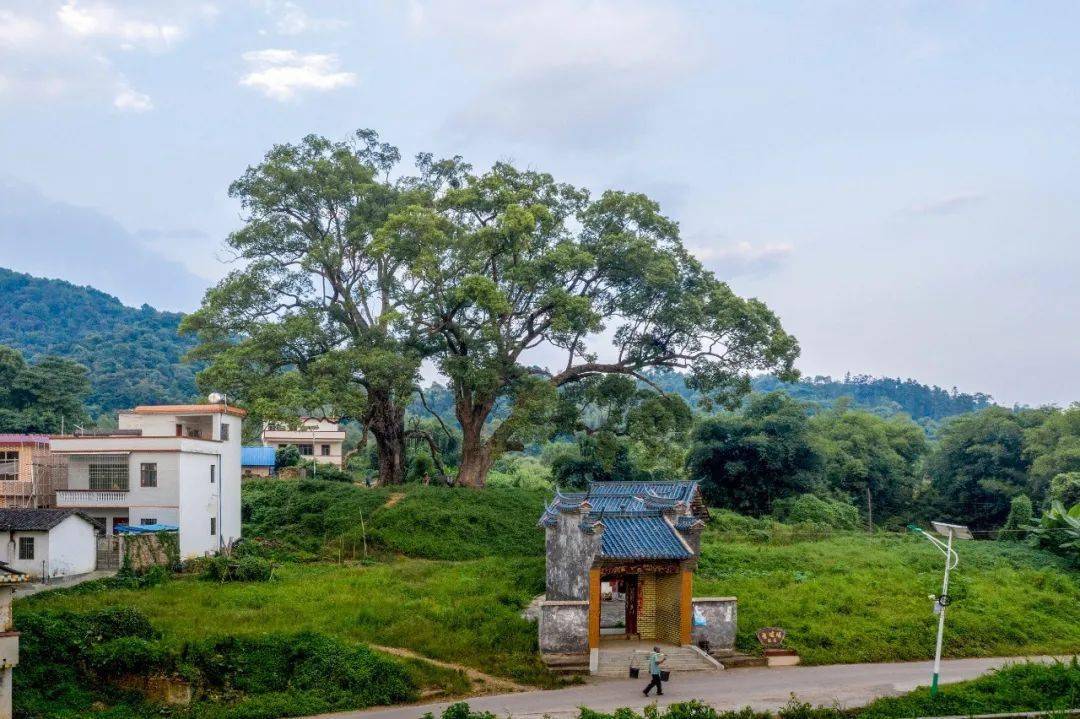 《歲月》樟王佳作獎王文明《福廕世人》王文明《始興縣太平鎮水南村