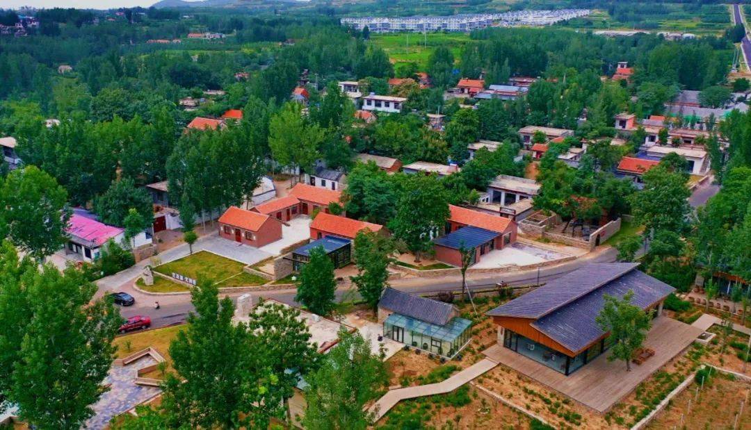 山东省乡村旅游12个微旅行目的地推荐菏泽这个村上榜