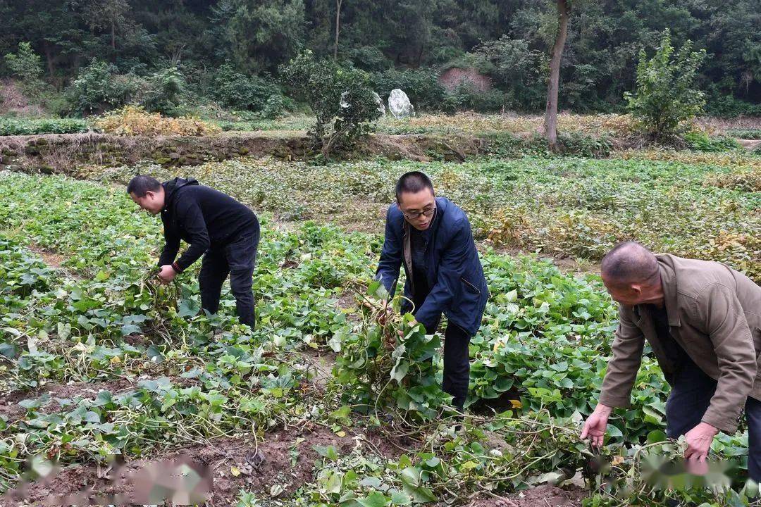 聊家常,話政策……在玉興鎮,這樣的畫面只是中江縣文旅局71名幫扶幹部