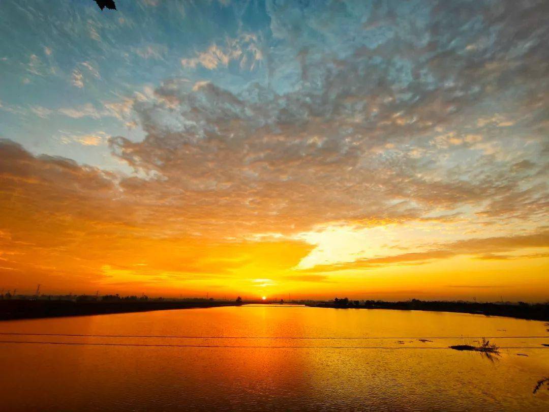 今晨朝霞刷爆阜阳人的朋友圈你被圈粉了吗