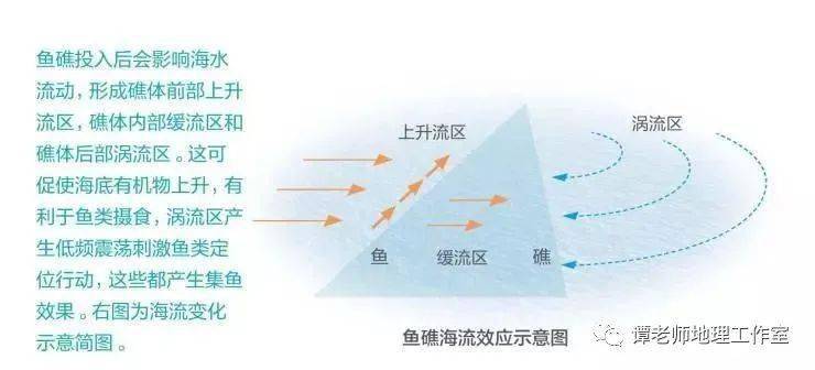【趣味地理】吃鱼的世界地理知识点,看人工鱼礁的分类和专题练习_中国人